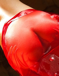 Miyuki Yokoyama shows hairy cunt and hot tits in see through veil