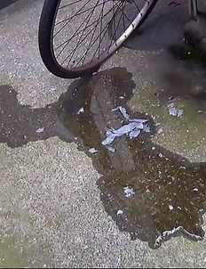 PissJapanTv - Girls Pissing