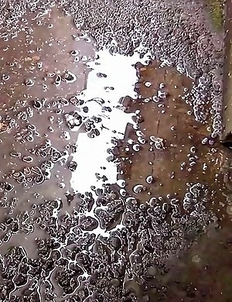 PissJapanTV has Piss Fetish Videos with Girls Pissing - Spraying On The Catwalk